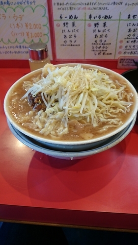 「らーめん小＋生卵＋麺増し(600g申請)。ニンニク」@麺屋 桐龍の写真