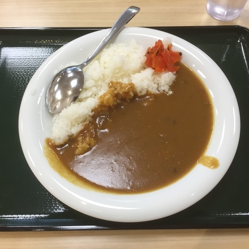「カレーライス」@名代 箱根そば 祖師ヶ谷大蔵店の写真