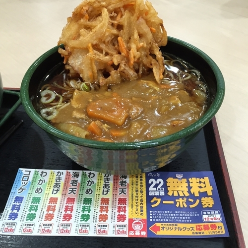 「かけ（￥320）＋カレールー（￥120）＋かき揚げ（クーポン」@ゆで太郎 川崎砂子店の写真