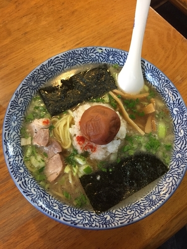 「みぞれ中盛り」@がんこや かるがんラーメン つくば店の写真