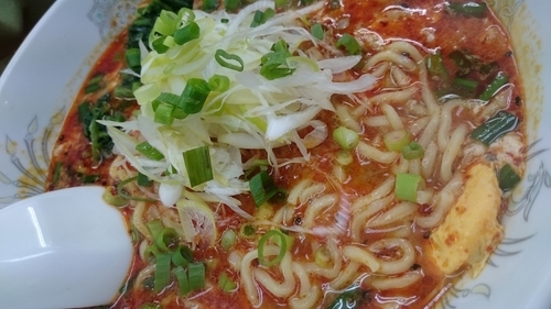 「ドラたんたんめん辛さ上級７５０円」@らーめん ドラごんちの写真