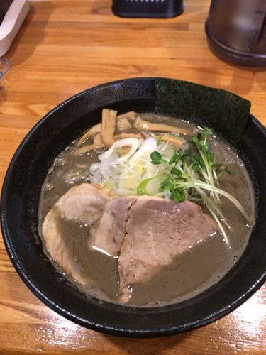 「メガ煮干しラーメン 900円」@麺屋 ひな多の写真