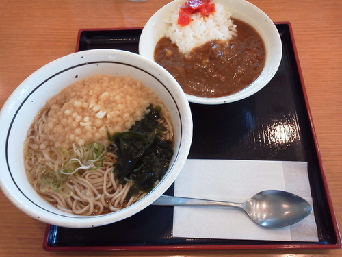 「たぬきそば＋ミニカレー丼 280＋220＝500円」@山田うどん 北中店の写真