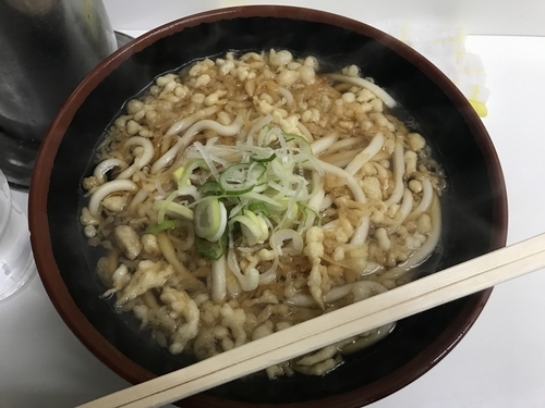 「たぬきうどん【310円】」@山七の写真