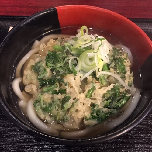 「野菜天（￥390）」@蓼科の写真