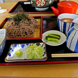 ザル蕎麦とろろ付