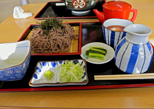 「ザル蕎麦とろろ付」@上信越自動車道・佐久平PA上りの写真