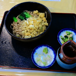 冷やしたぬき蕎麦