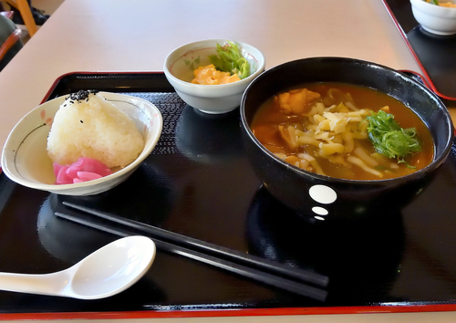 「カレー南蛮うどん」@農村レストラン ふるさと一番の写真