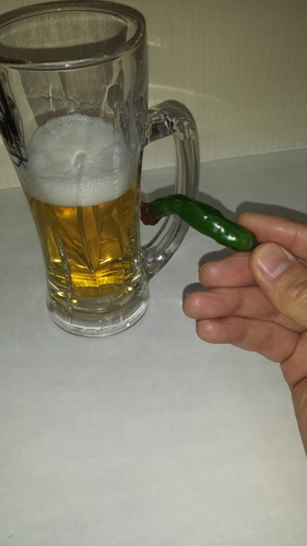 「大辛ラーメンと青唐辛子など」@麺屋 あんからの写真