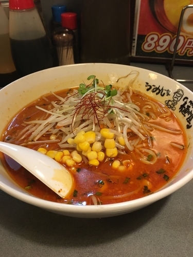 「辛みそらーめん 二辛 ニンニク少なめ」@らーめん一家 麺小屋 おゆみ野店の写真