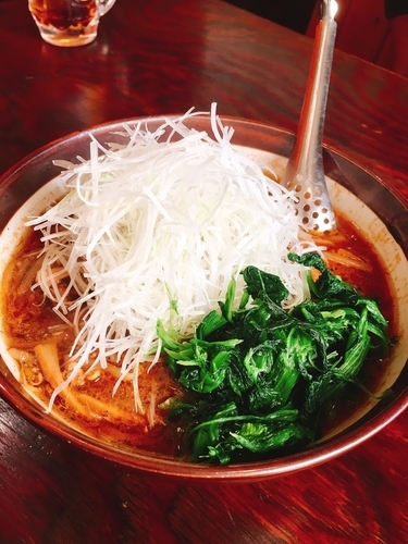 「ネギ札幌味噌ラーメン」@らーめん 田中家の写真