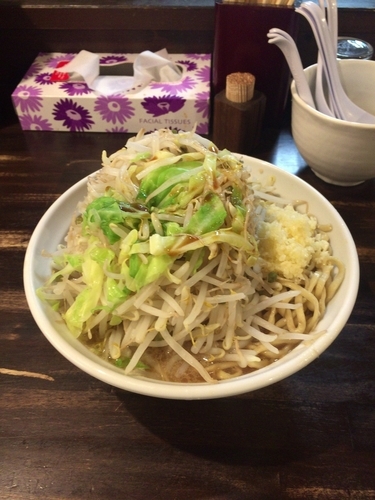 「とんこくラーメン（780円）」@煮干しらーめん てのごい屋の写真