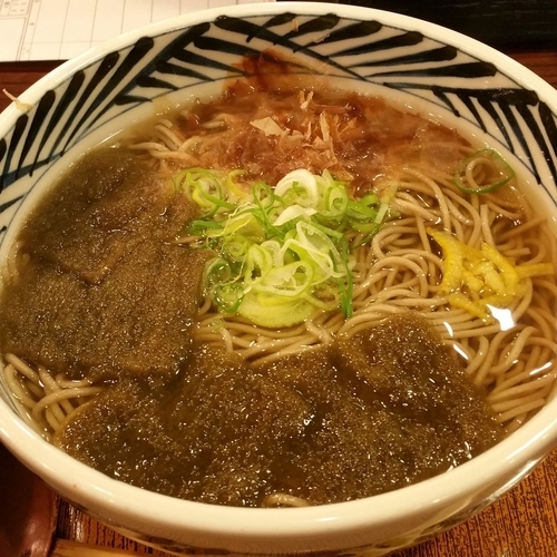 「昆布そば」@おらが蕎麦 浜松駅メイワンビックカメラ館店の写真