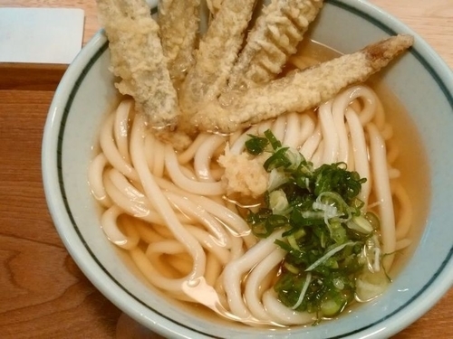 「ごぼ天うどん(中)」@さぬきうどん まめ哲の写真