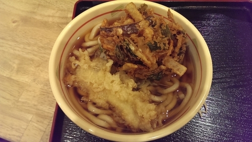「かけうどん、大盛、春菊かき揚げ、イカ天」@石龍の写真