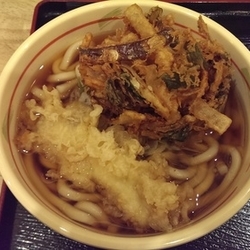 かけうどん、大盛、春菊かき揚げ、イカ天
