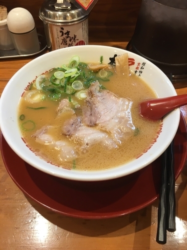 「とんこつ醤油 並」@ラーメン横綱 阪急武庫之荘店の写真