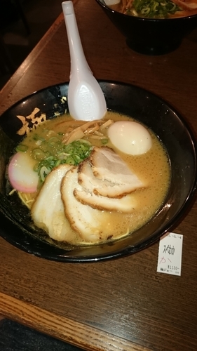 「スペシャル和歌山ラーメン」@新和歌山らーめん 極ジョーの写真