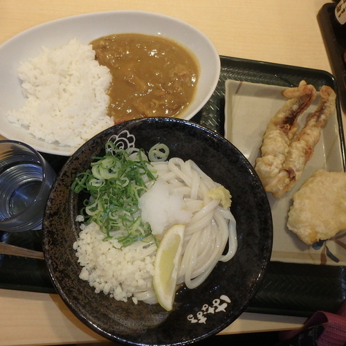 「カレーセット(ぶっかけ)(580円)うどん中に(100円)他」@はなまるうどん 広島西原店の写真