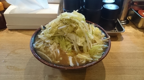 「盛菜らーめん・大盛(ヤサイ大盛ニンニク抜き)￥８４０」@麺屋 だるま家の写真