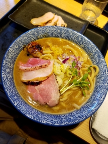 「【限定】二ボーン２号大盛り＋鶏チャーシュー」@煮干し中華そば 一燈の写真