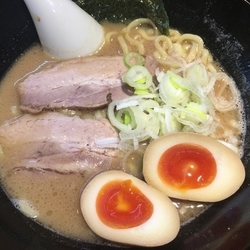 ラーメン味玉 太麺
