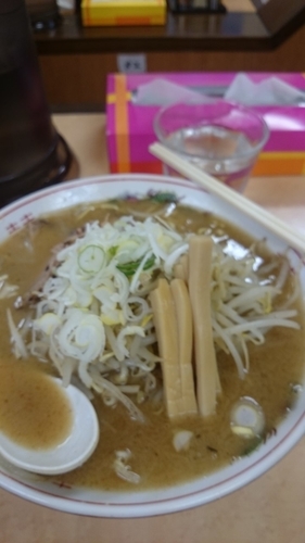「味噌ラーメン８００円+大盛100円」@みそラーメンのよし乃 さっぽろテレビ塔店の写真