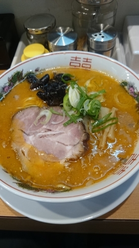 「味噌ラーメン８００円+大盛100円」@らーめん紫雲亭の写真