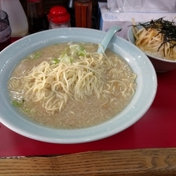 かけラーメン＆ネギ丼