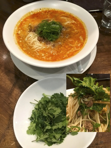 「担担麺 (￥800) ＋ パクチー (￥100）」@創作麺工房 鳴龍の写真