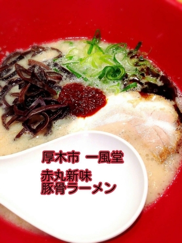 「赤丸新味豚骨ラーメン」@博多一風堂 本厚木ミロードイースト店の写真