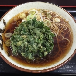 【季節限定】春菊天（￥360）