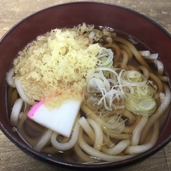 たぬきうどん 340円
