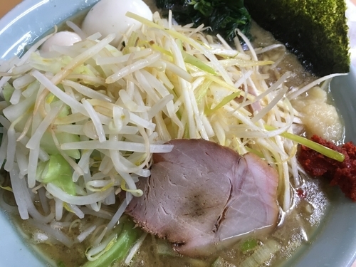 「ネギラーメン 大 ［半熟味付玉子 ＆ もやし・キャベツ］」@壱六家 大船店の写真
