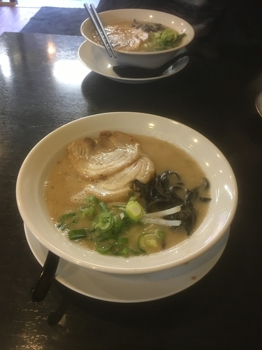 「豚骨ラーメン＋セット半チャーハン」@麺処 光屋の写真