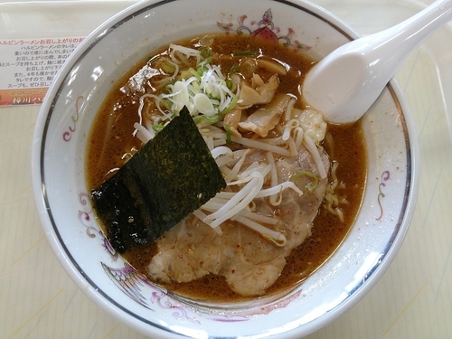 「梓川ハルピンラーメン」@梓川サービスエリア下りの写真