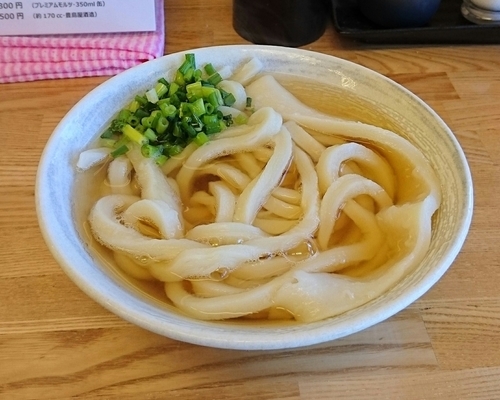 「かけうどん(あつあつ)」@手打ちうどん こげらの写真