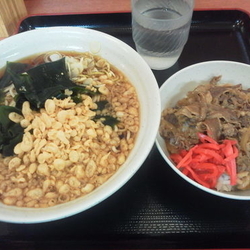 日替わり（たぬき+ミニ牛丼）510円