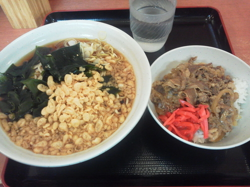 「日替わり（たぬき+ミニ牛丼）510円」@梅もと 品川店の写真