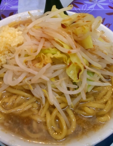 「ラーメン野菜少なめ」@ラーメン豚翔の写真
