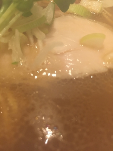 「鴨白湯×煮干し」@麺尊 RAGEの写真