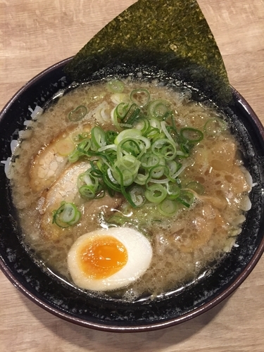 「濃厚とんこつラーメン」@まるいちらぁめん 東舞鶴店の写真