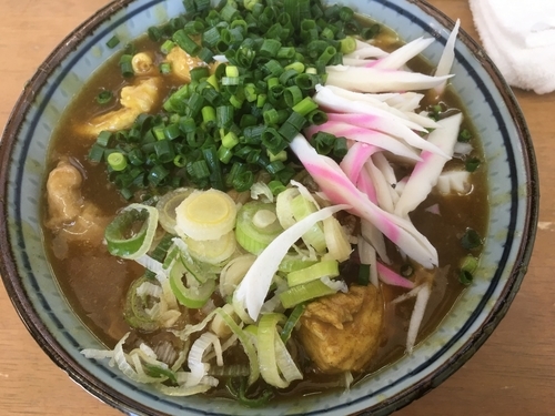 「如月の一杯  カレーかも？南蛮かも？？スタンダード」@MENYA 食い味の道有楽の写真