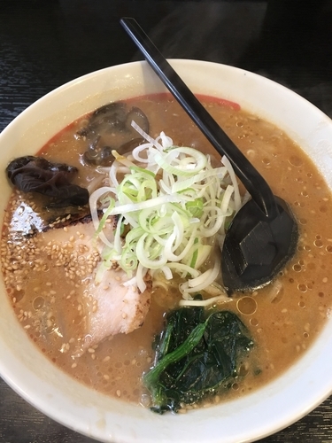 「赤味噌らー麵　500円」@らー麺 家康 北郷店の写真