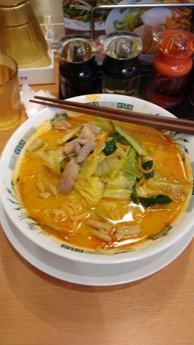 「もつ野菜ラーメン」@日高屋 天王町駅前店の写真