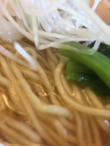 「煮干し中華そば」@東大和ラーメン大冬樹Season2の写真