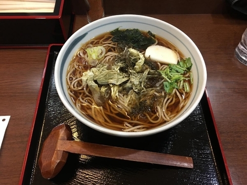 「温かいおそば　おぼろ昆布(大盛り)　930円　※幌加内産」@蕎麦紀行の写真