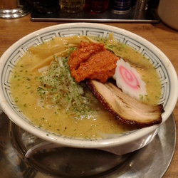 からし味噌ラーメン＋塩ラーメン