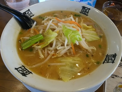 「みそ　（大盛(０．５玉)）」@おおぎやラーメン 長野駒ヶ根店の写真